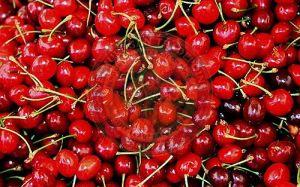 Fresh Red Cherry