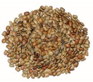 Horse Gram