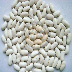 White Kidney Beans