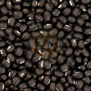 Whole Black Urad Dal