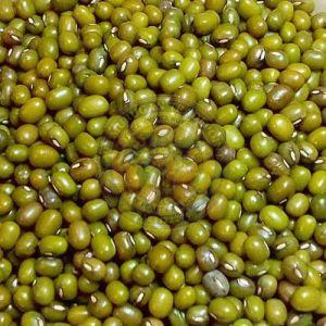 Whole Green Moong Dal