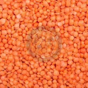 Whole Red Masoor Dal
