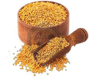 Yellow Mustard Seeds