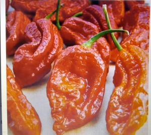 dry red chilli