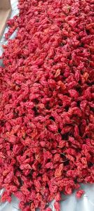 dry red chilli