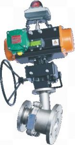 Flush Bottom Valve