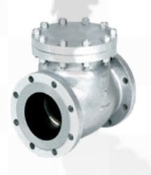 Steam Check Valve