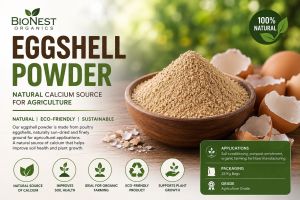 Natural Fertilizer Eggshell Powder