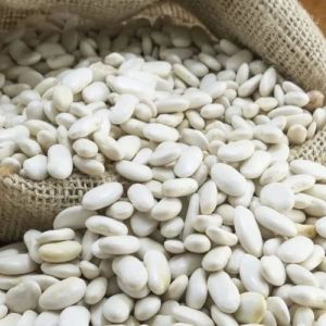 White Kidney Beans