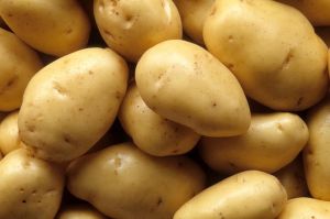Indian Fresh Potato