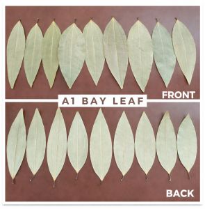 A1 Dried Bay Leaves