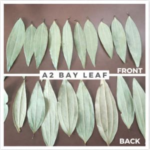 A2 Dried Bay Leaves