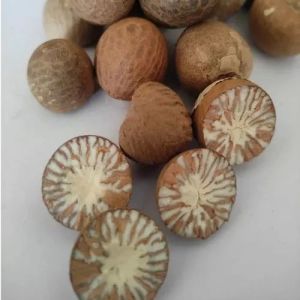 Areca Nuts