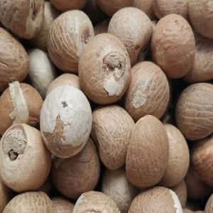 Betel Nuts