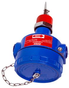 Peso Certified Flameproof Flow Switch