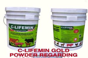 20Kg Clifemin Gold Powder