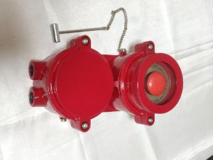 Flameproof Manual Call Point