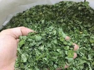 Dried Moringa Leaves