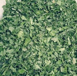 Fresh Moringa Leaves