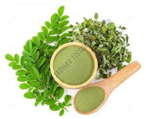 Moringa Dried Leaves Powder