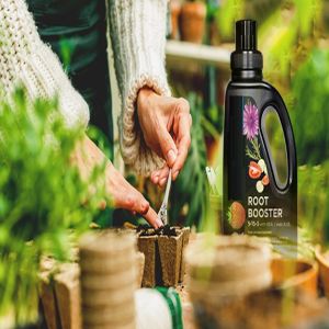 Root Booster