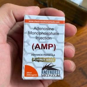 200mg Racehorse AMP Injection
