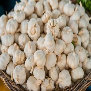 A Grade Fresh Garlic
