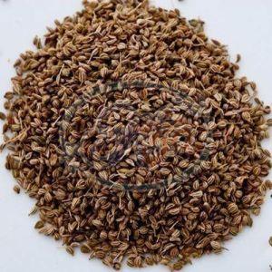 Carom Seeds