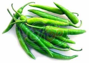 Fresh Green Chilli