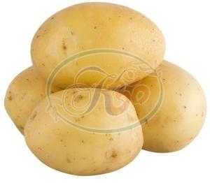 Fresh Potato