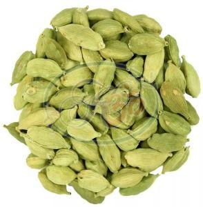 Green Cardamom