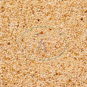 Poppy Seeds