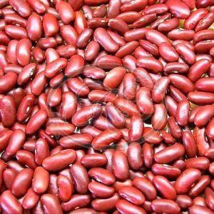 Red Kidney Beans