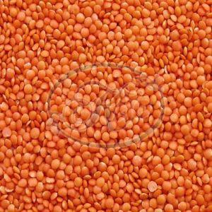 Red Masoor Dal