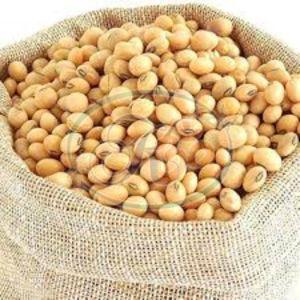 Soybean Seeds