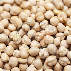 White Chickpeas