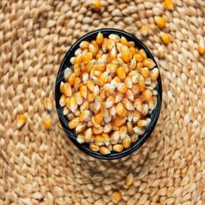 Whole Corn Seeds