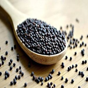 Black Bold Mustard Seeds