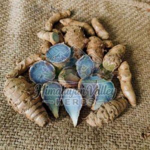 Organic Black Turmeric Finger
