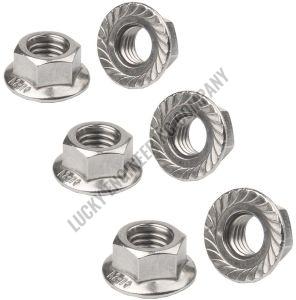 Forged Flange Nut