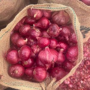 Organic Nashik Red Onion
