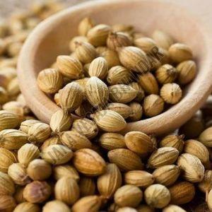 Coriander Seeds