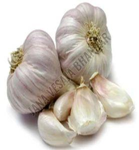 Fresh Garlic