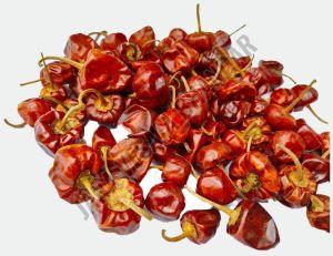 Mundu Dried Red Chilli