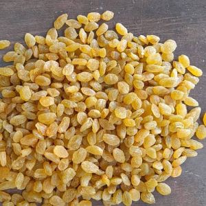 Dried Golden Raisins