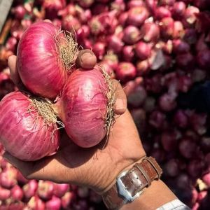 Nashik Fresh Pink Onion