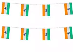 Indian Tricolor Mini String Bunting