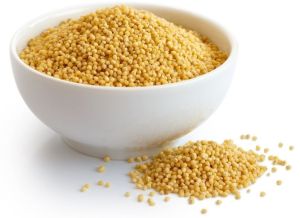 Foxtail Millet Seeds