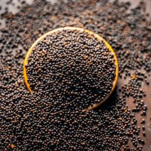 Black Mustard Seeds