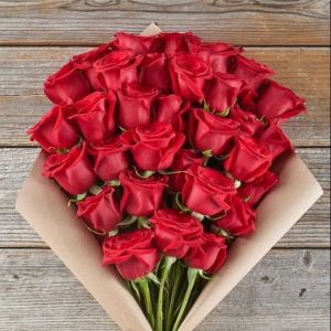 Fresh Rose Flowers
